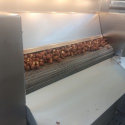 40 kg/h Nuts Roasting Machine (New Product)