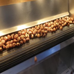 15 kg/h Nuts Roasting Machine