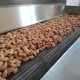 80 kg/h Nuts Roasting Machine