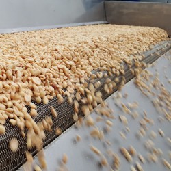 400 kg/h Nuts Roasting Machine