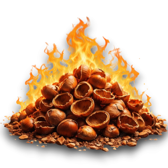 100-350 Kg/h Bio-Shell Fueled Roasting Machine (NUT 3000CS)